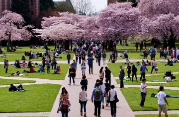 FAFSA Deadlines by State